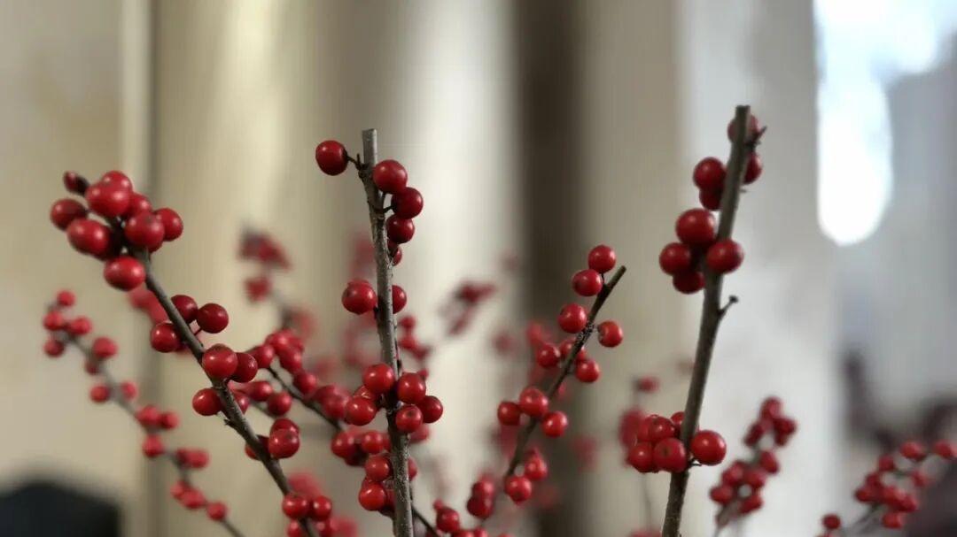 2026，请给我多一点甜