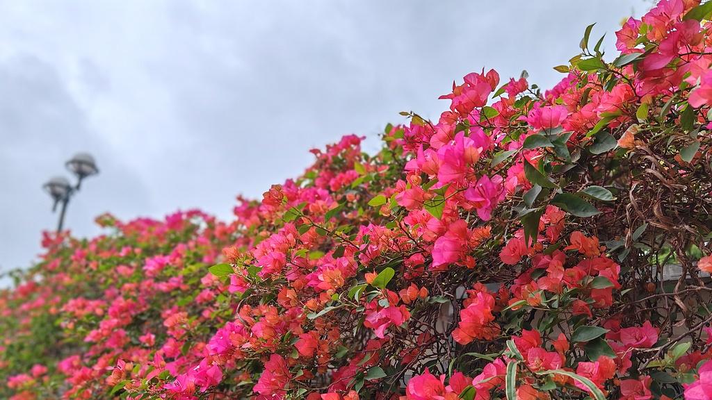 发现婆家另建“自己人”群，我默默退了大群