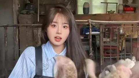 95 后空姐裸辞养猪：5 年空姐到 2 个月赚 20 万猪倌的逆袭