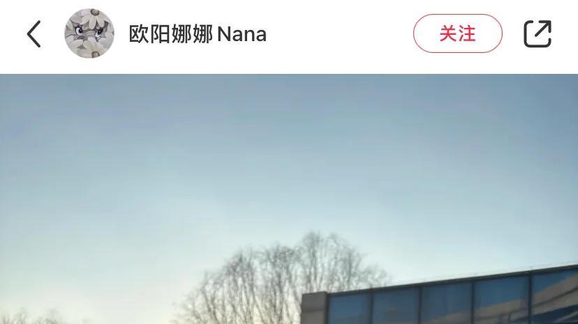 国外网友涌入小红薯，曾黎趁势宣传传统首服，吴昕秒切英语直播