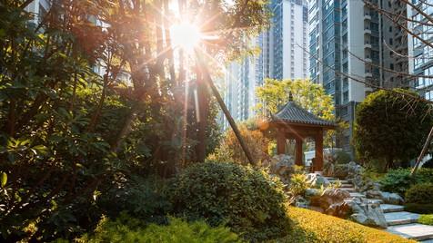 特朗普政府首次承认，中美实力平起平坐，美国已失去全球霸权