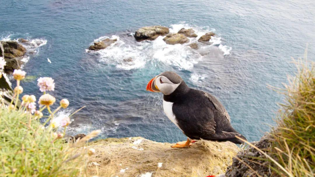 一位上海妈妈的自述：我的移民史