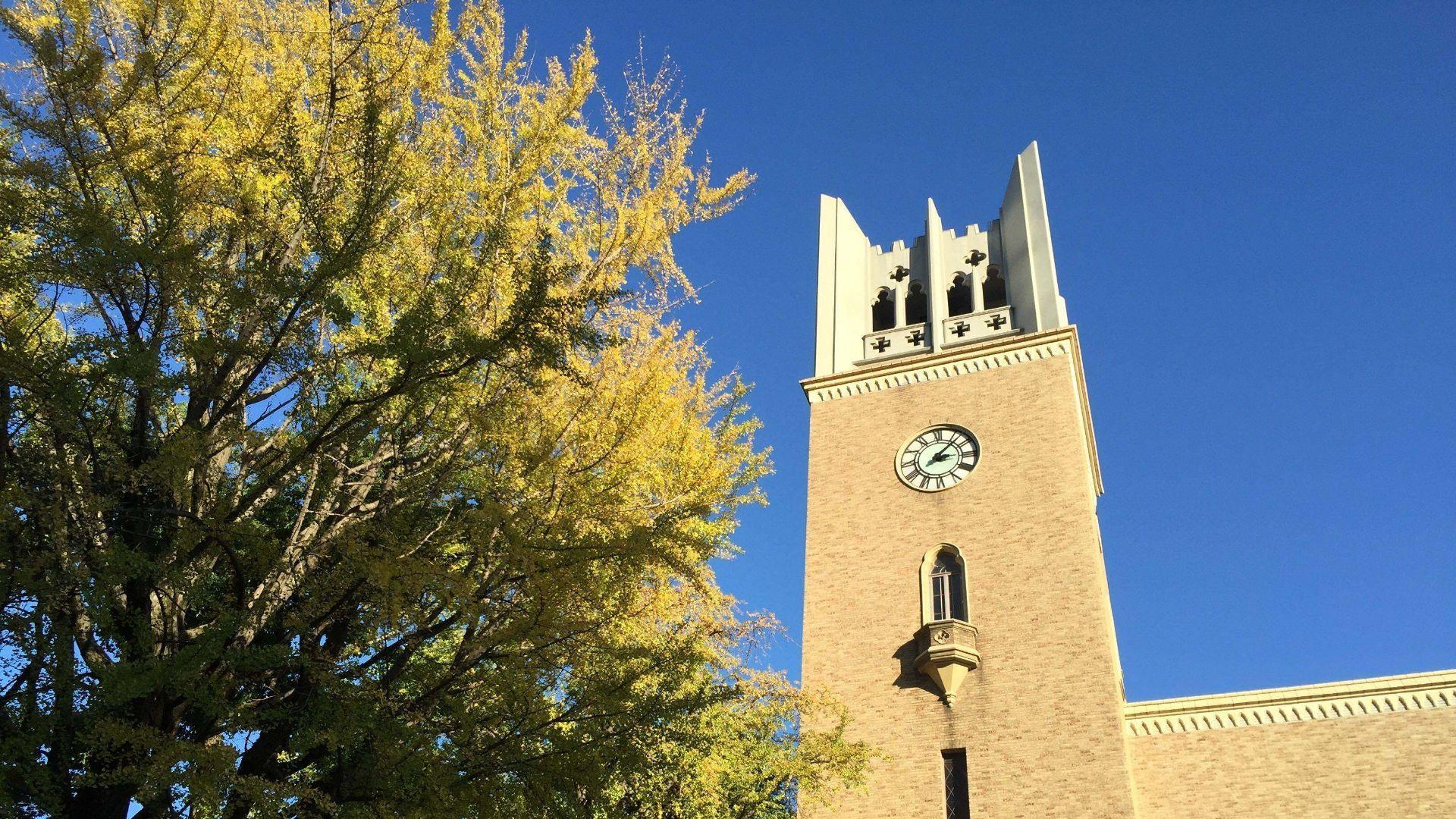 国公立大学和私立大学哪一个更好？