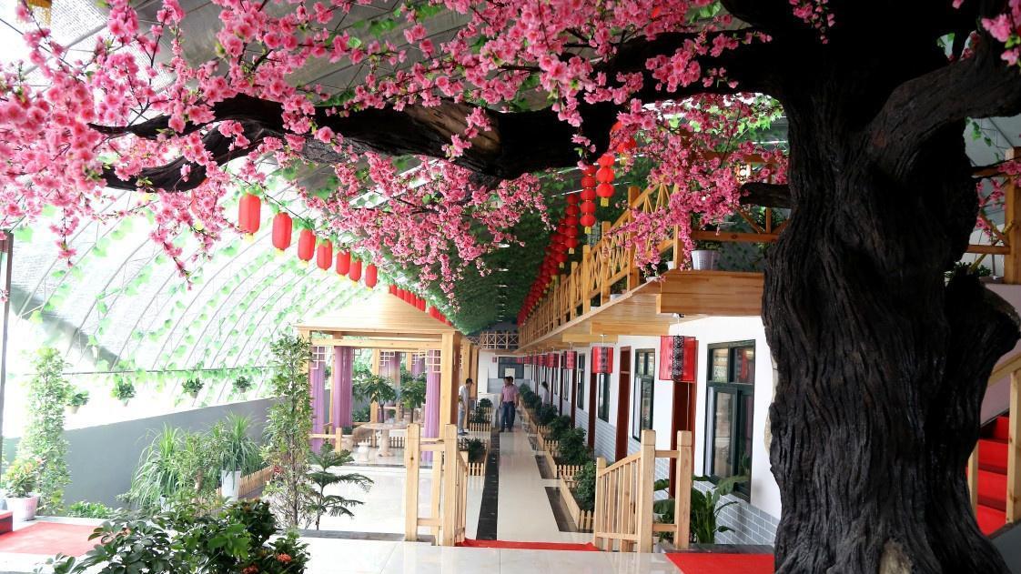 聊城莘县：黄河畔的诗意田园，千年文脉与瓜果飘香的完美交融