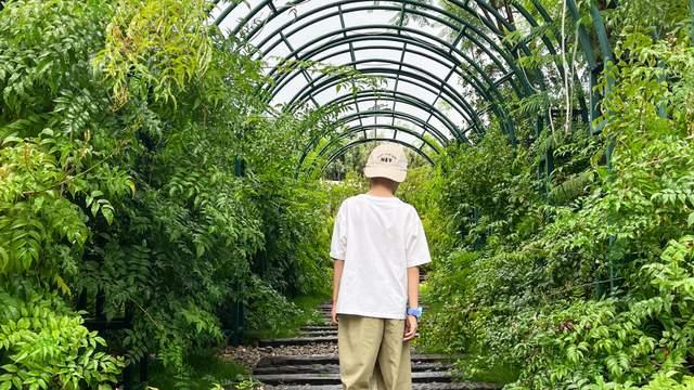 破天荒！孩子6点爬起来写作业，做对这件事，娃才能主动学