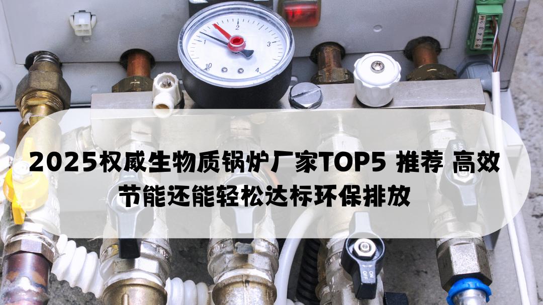 2025权威生物质锅炉厂家TOP5 推荐 高效节能还能轻松达标环保排放