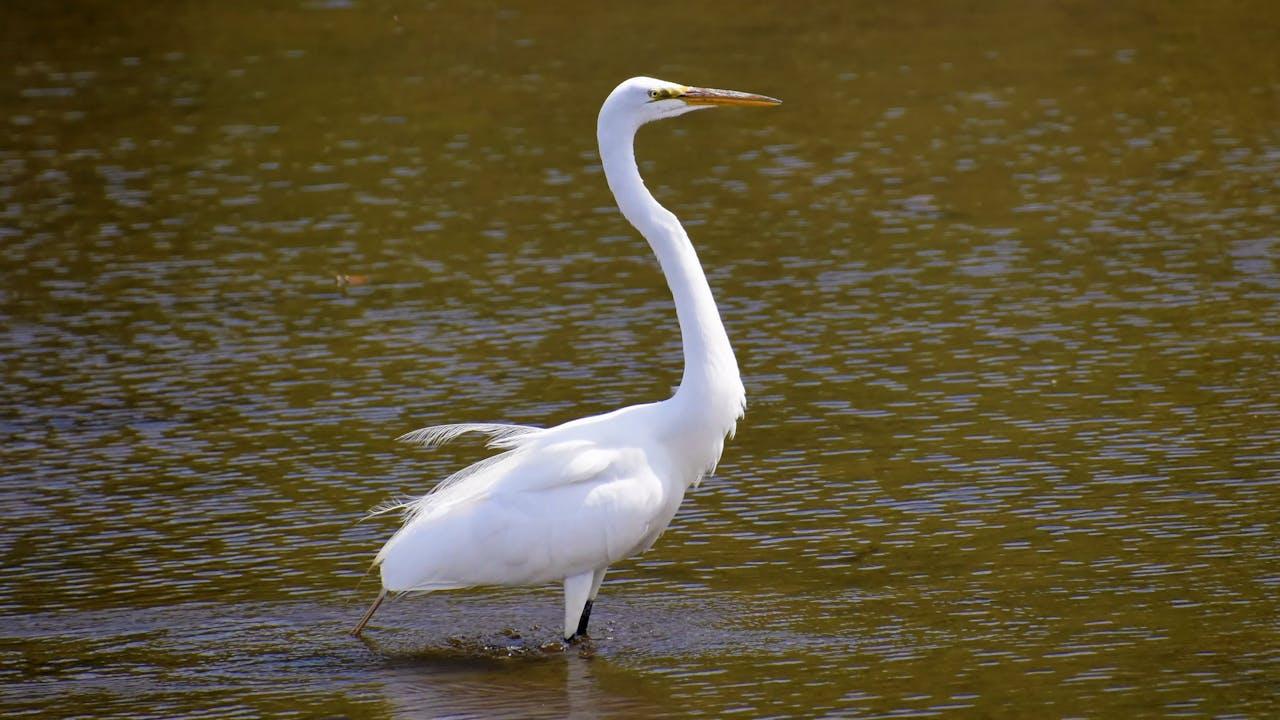 如何成为一个独立思考的人？