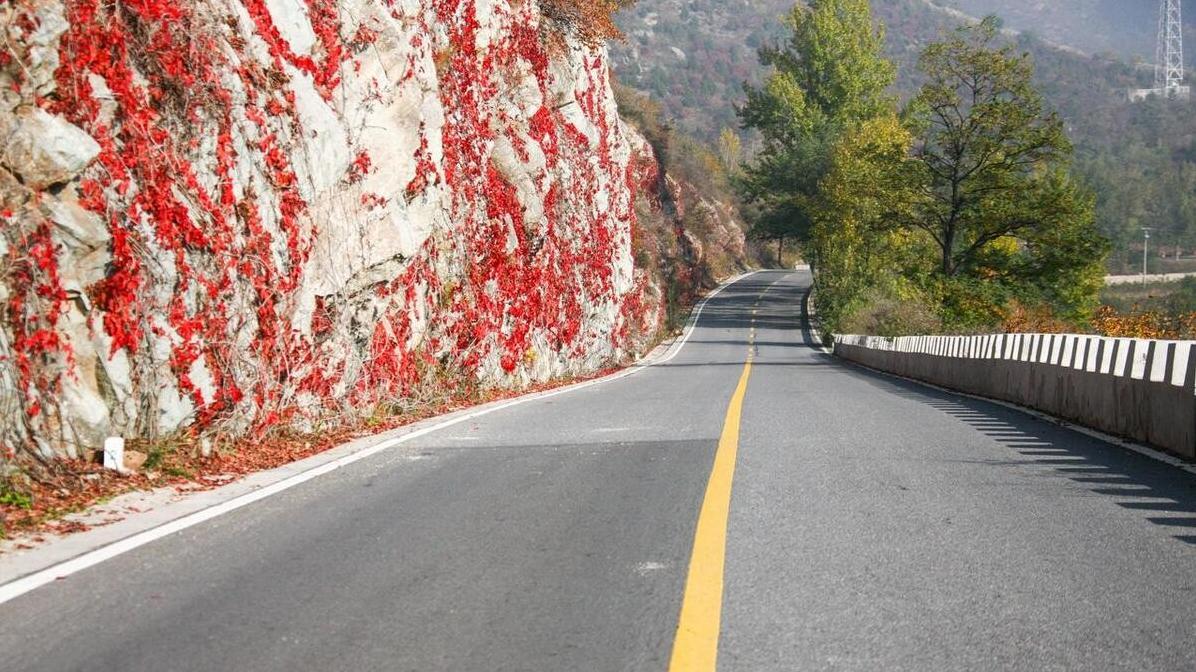 548天里的静安故事：愚人节特别篇