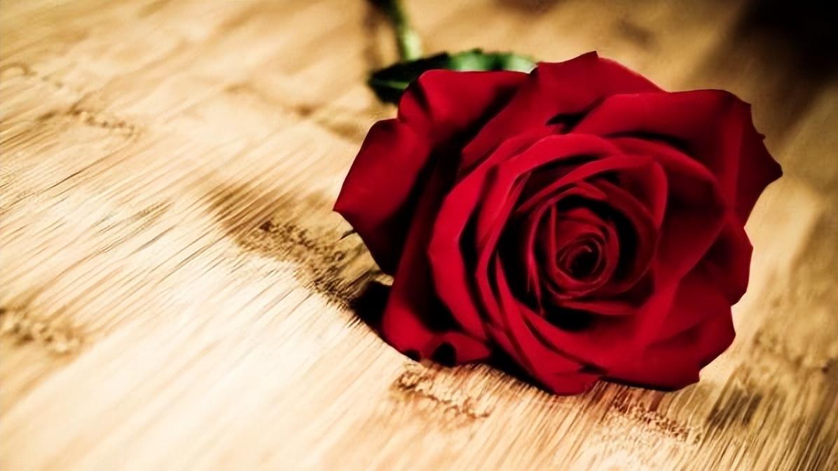 因果定律：借人钱不还的人，根本没有出息