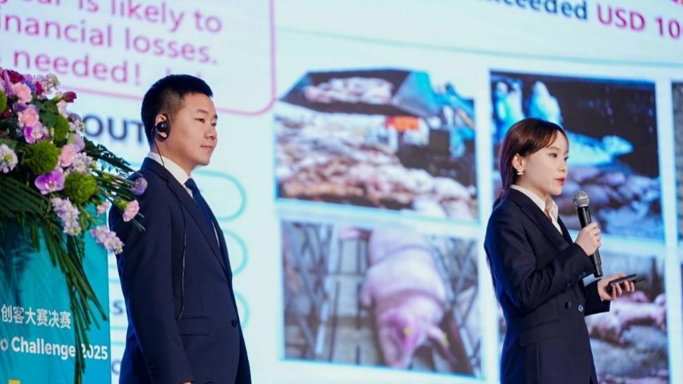 世界互联网大会乌镇峰会首设智慧农业论坛 拼多多分享数字农业创新实践经验