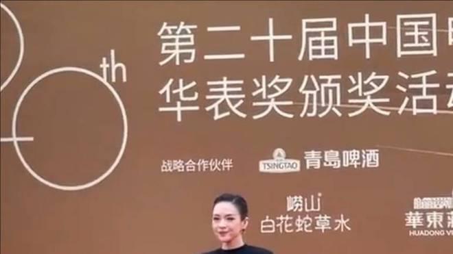 光影廿载再启新章！章子怡华表奖压轴献映《酱园弄》