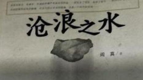 沧浪之水小说主角的池大为从初入职场的小白到权谋厚黑裂变过程是怎样的？