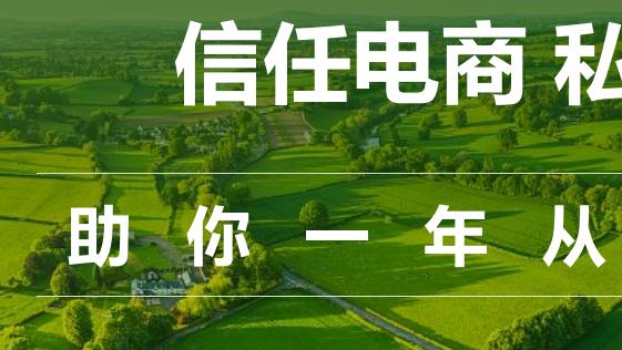 告别流量内卷！信任电商靠 3 套核心机制，实现从 0 到 200 亿的突破