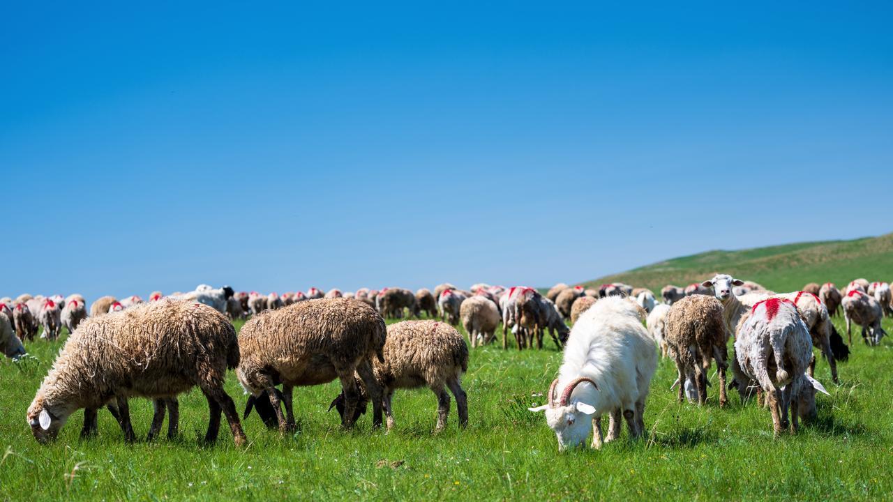 开国功勋如何安置？中华老祖宗：封侯拜相；华盛顿：锄草牧羊