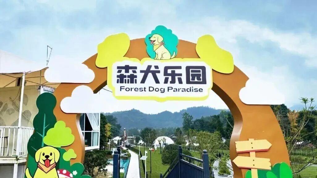 宠物经济赋能乡村振兴，邛崃这个森犬乐园正式亮相