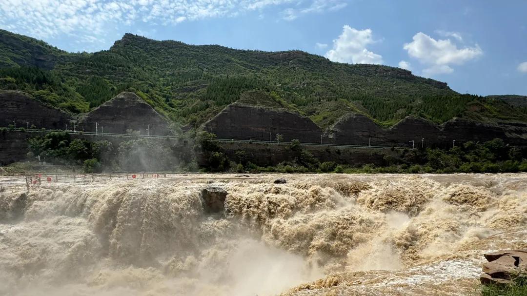 九千年前一粒狗尾草，竟改写中华命运？