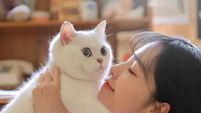 猫咪相伴：女性养猫需留心的几个细节