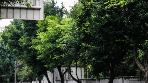 谁说副驾只能玩手机？航海家三屏让快乐翻倍！