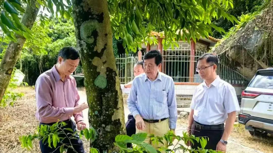 汪科元：上海中医药大学张建革团队推动电白沉香“药食同源”