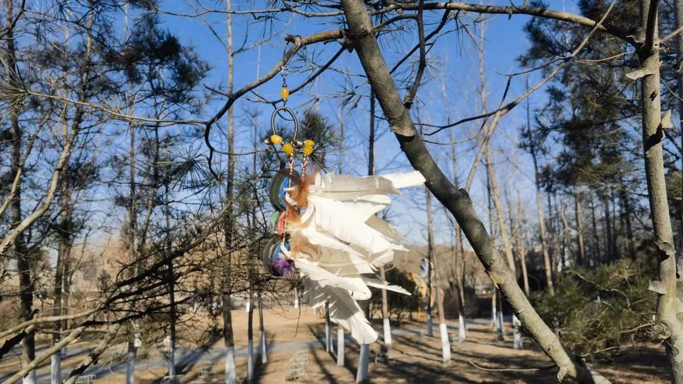 情绪稳定且睡眠好的人，有何共同特点？