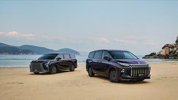 购东风风行星海V9补贴至高享55000元