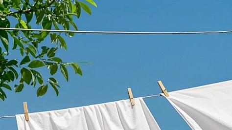 洛东生物 | 别再用手“摸”了！教你科学鉴定洗涤剂“柔不柔”