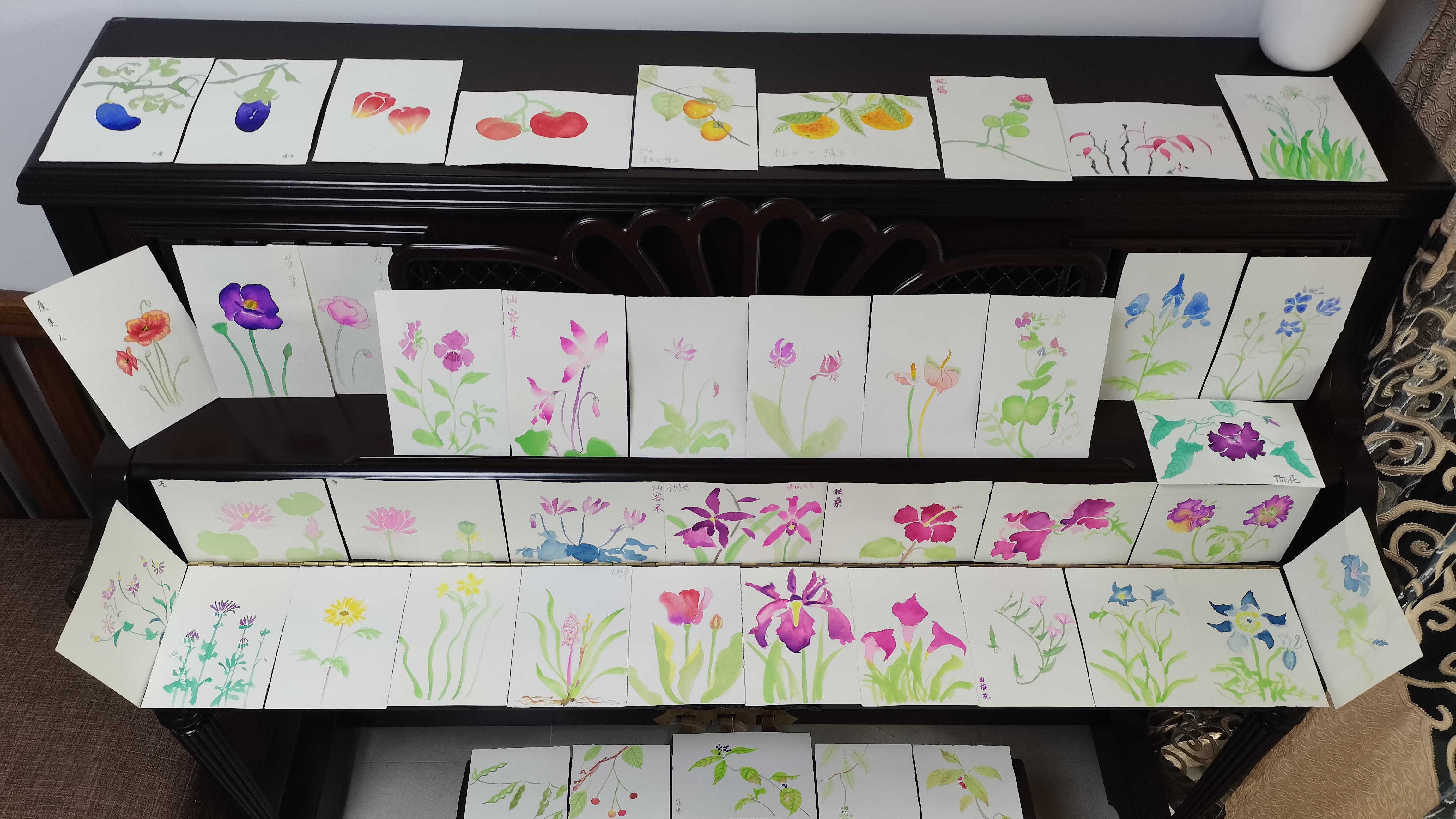 绘画 | 水彩 | 果花甘05