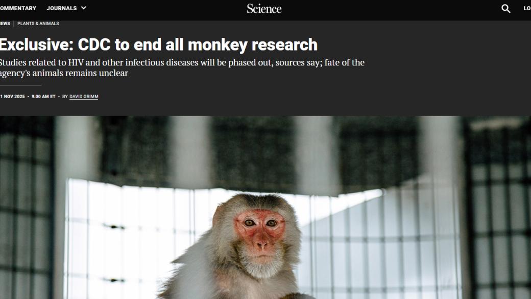 美国CDC官宣终止灵长类实验，中国发表类器官芯片抗肿瘤效应评价