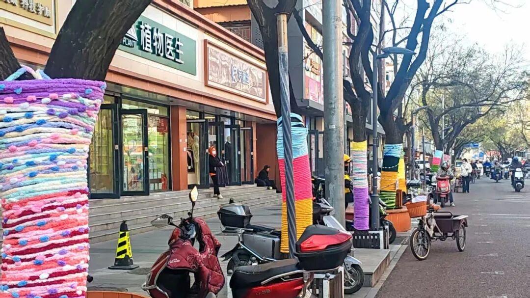 毛线织就小暖衣，石景山这里的树秒变萌系选手