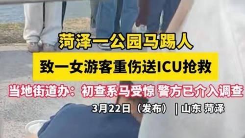七里河湿地公园惊魂：惊马，昏迷，谁来负责？