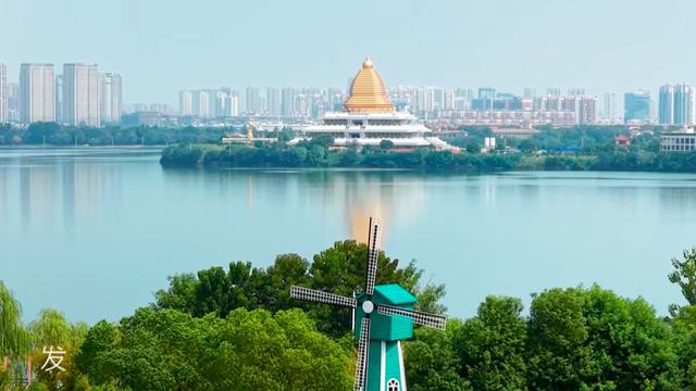 太美了！江夏庙山这里竟藏着一个粉黛草园地！