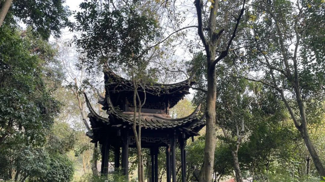 冬游重庆园博园有感：喜欢拍照的人越来越多了