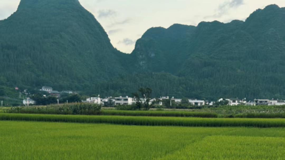 独处力，才是一个人最顶级的实力