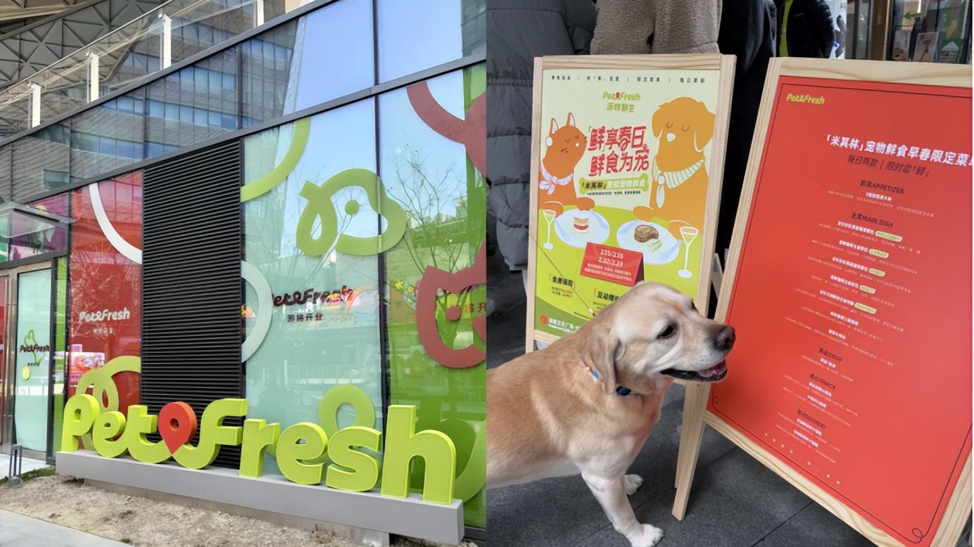 目标100家门店！中国首家宠物鲜食超市来了