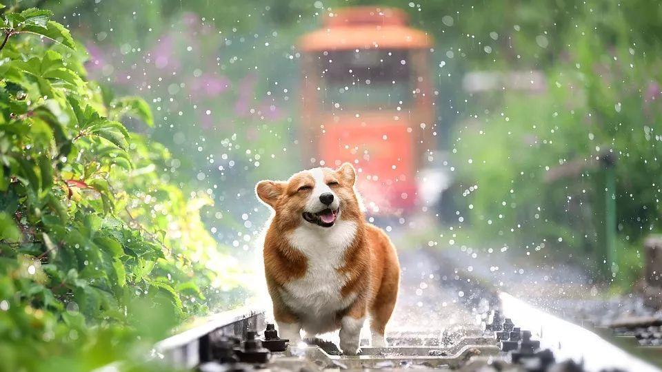 签合同前，业主要面试工长？装修这事，别被网上的“专家”带偏了