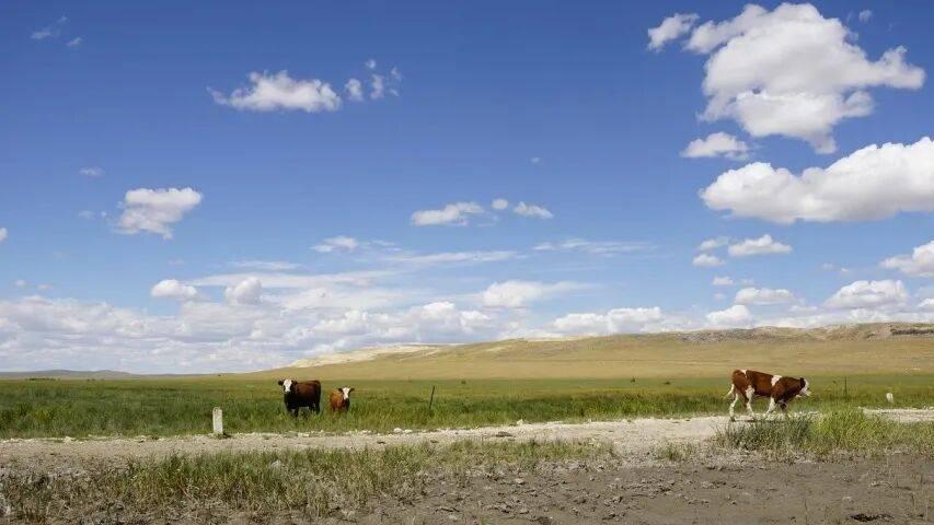 双11终于落幕了！但一场家电新战役才刚刚打响