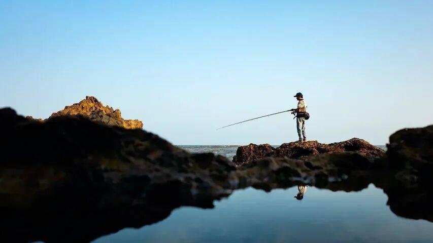 冰箱市场今年走出“多点抛物线”转向