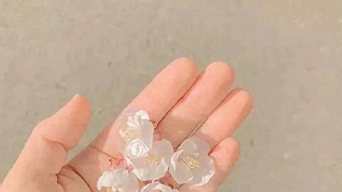 活得清醒而独立的四大星座