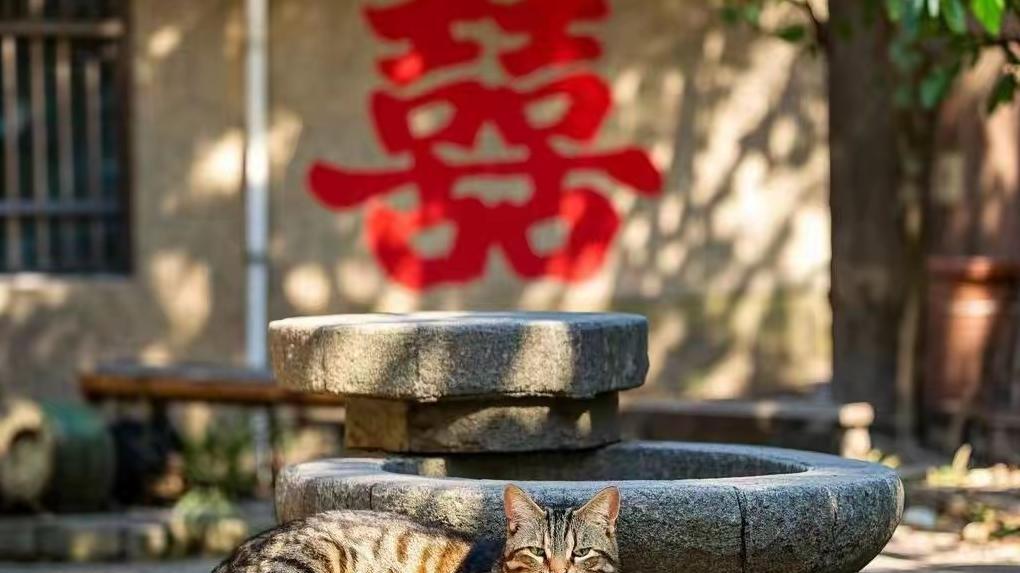 在89年的夏日工作中，我迎来了师父的一个婚事暗示