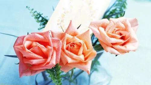 男人的桃花运，和外貌年龄无关