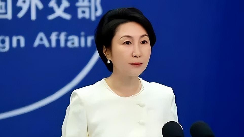 下作！反华无良智库缺钱求投喂