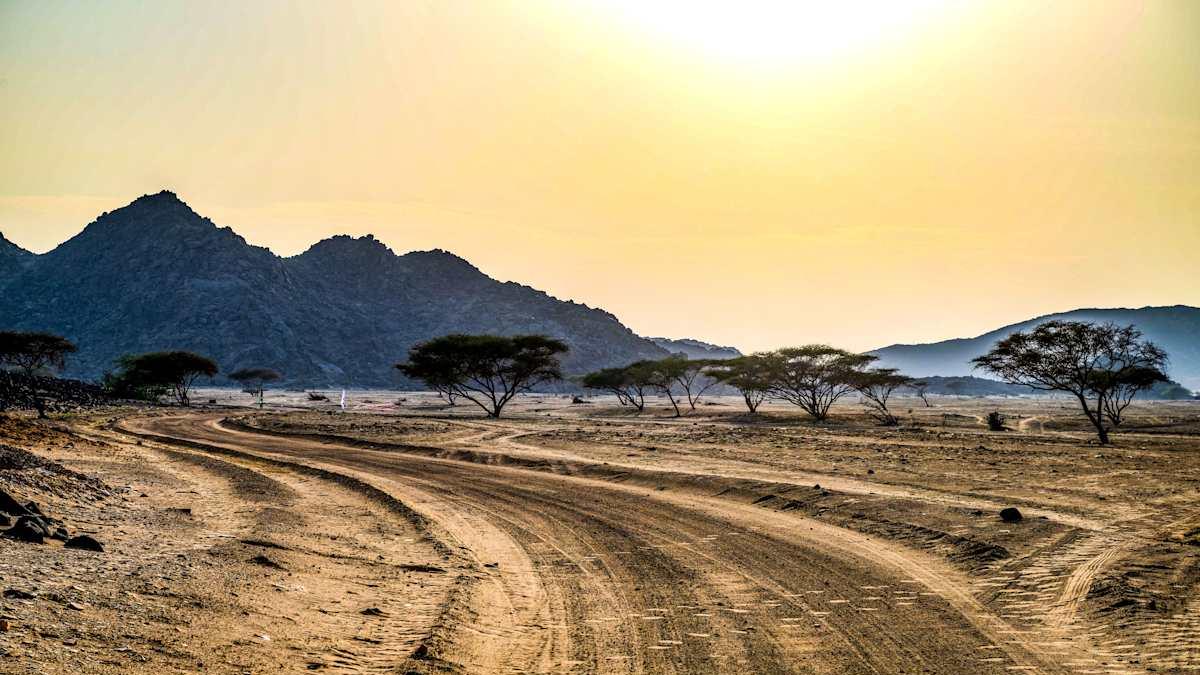 赛段指南：沙特阿拉伯拉力赛