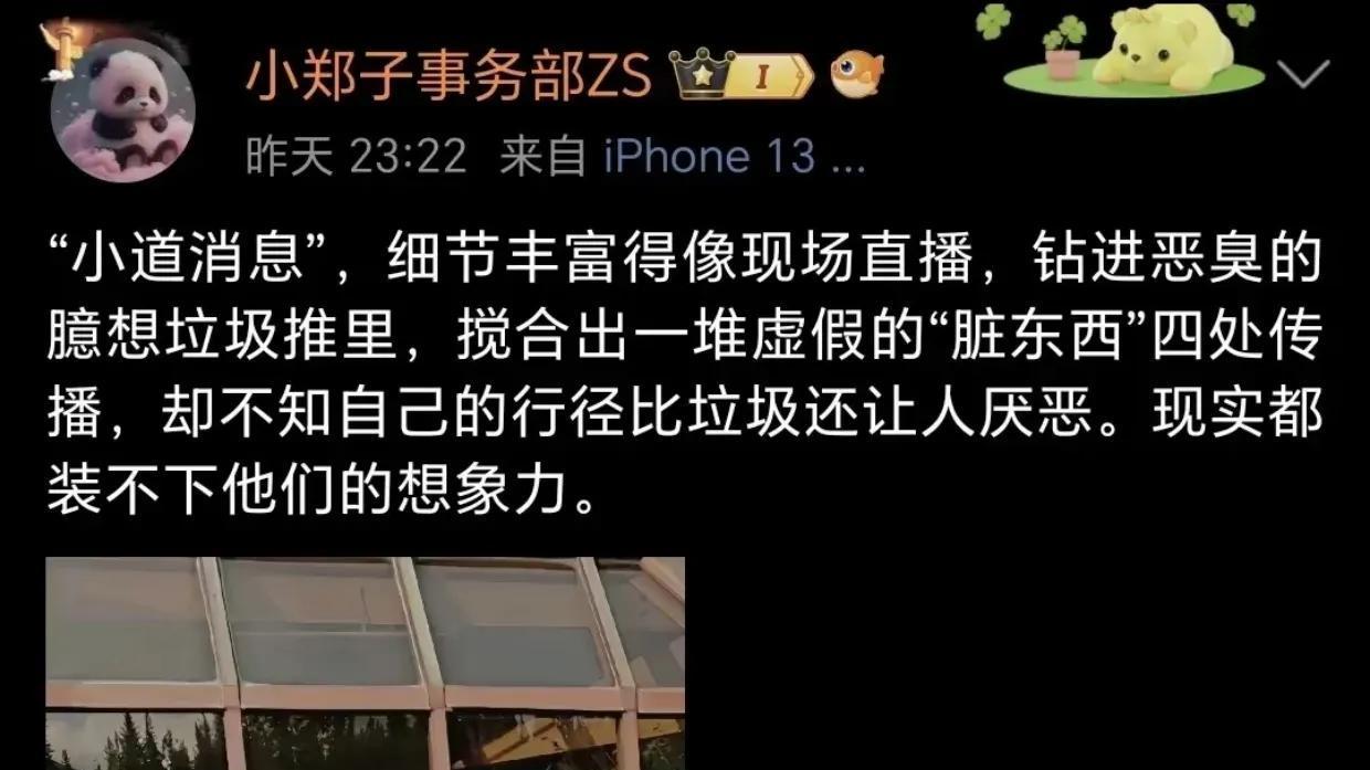 郑爽携母子泳池享乐，别墅生活引质疑：昔日卖惨如今奢华，真相究竟如何？