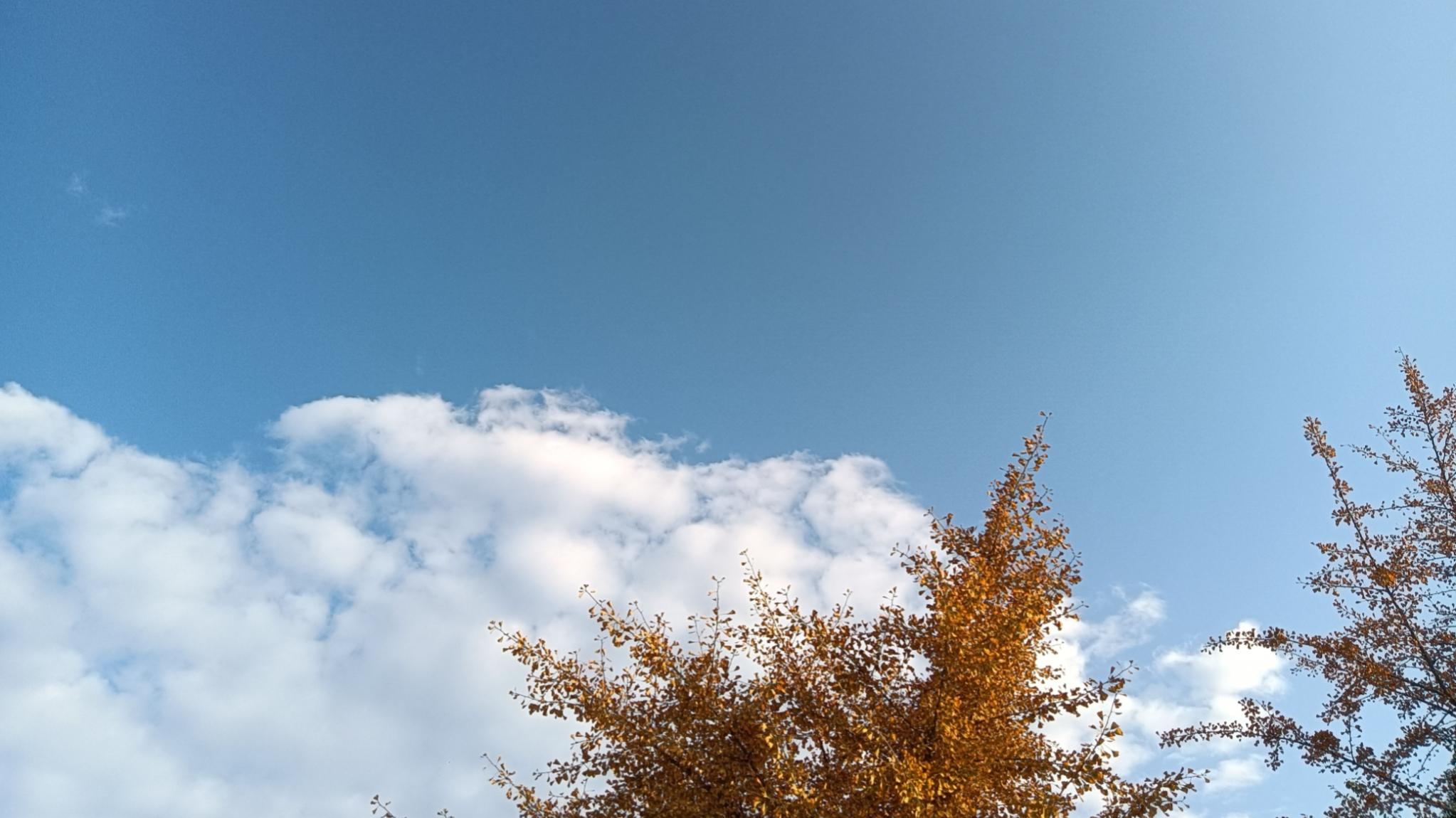 一条可能永远不会有回复的老师留言，老师、校长、局长都不容易呢