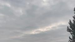 张秃子的忐忑人生笔记——261情殇之后的直面