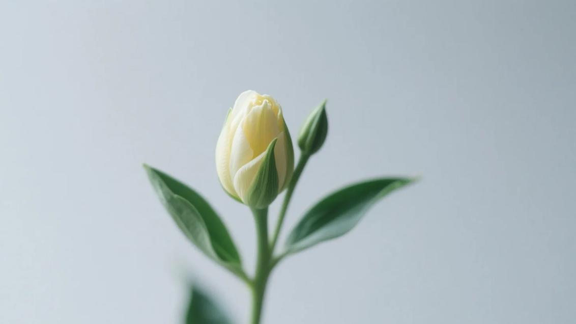 读了《杨绛传》才明白：层次越高的人，越会让身边人舒服