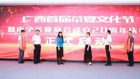 南宁茶业商会 “茶评专家库” 正式成立，为茶叶品鉴注入专业力量