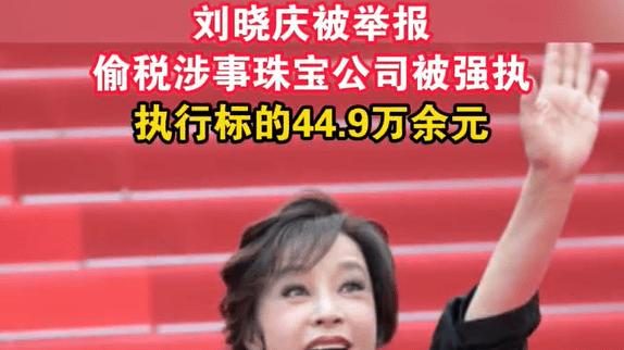 刘晓庆名下公司被强执44万9：商业版图的波折与公众审视下的反思