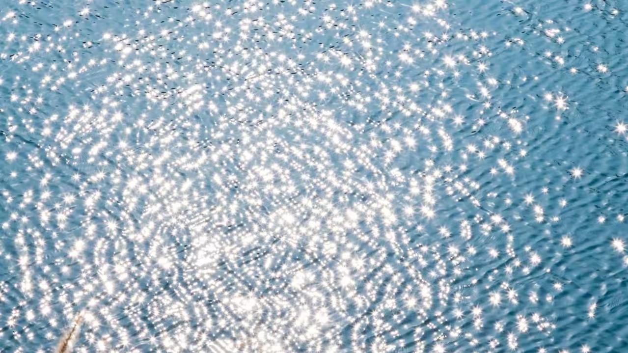 深圳南山区西丽湖碧道之“写意三河公园”，绝美落羽杉，溪流摸鱼，草坪发呆，赏薰衣草，适合溜娃，拍照打卡