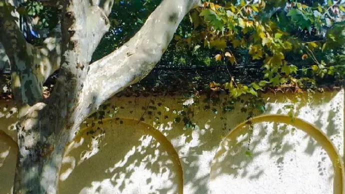 漫至极的撩人语录，无法抗拒的甜文案